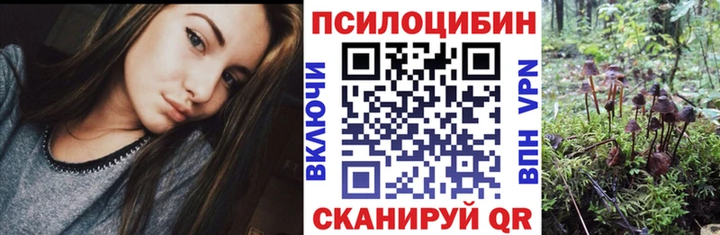 Псилоцибиновые грибы Cubensis  Электрогорск 