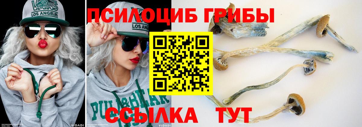 Галлюциногенные грибы GOLDEN TEACHER  Псилоцибиновые грибы Psilocybe  Электрогорск  Вход с VPN 